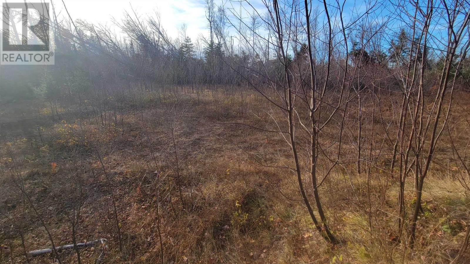 46 Teddy Lane, Pleasant Grove, Prince Edward Island  C0A 1P0 - Photo 7 - 202528948