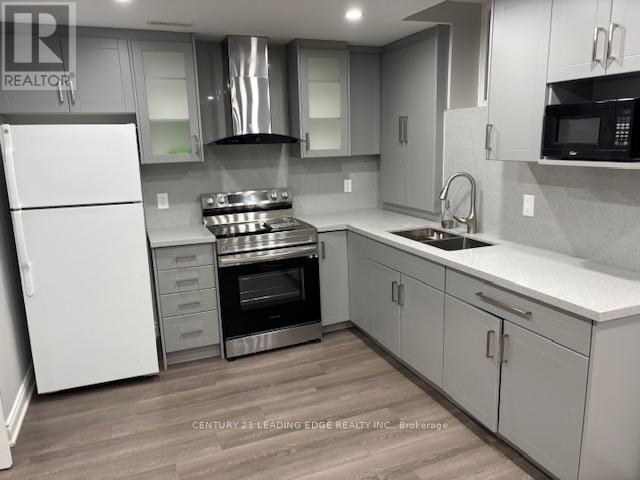 Basement - 29 James Edward Drive, Markham, Ontario L3S 1Z3 - Photo 3 - N12595368