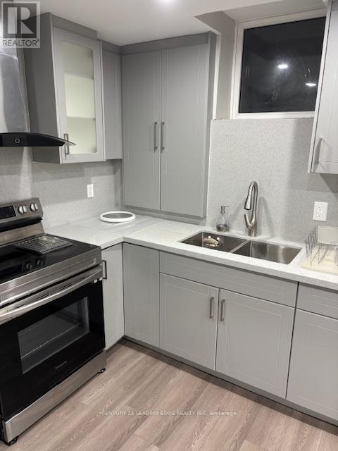 Basement - 29 James Edward Drive, Markham, Ontario L3S 1Z3 - Photo 4 - N12595368