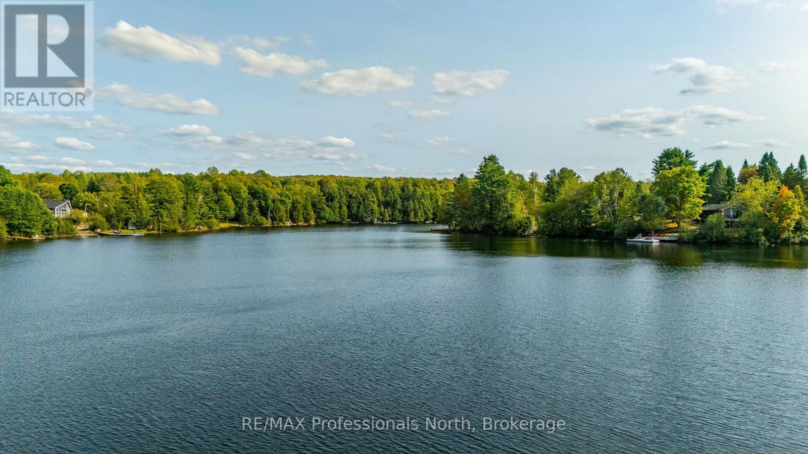 1080 Petticoat Lane, Minden Hills, Ontario  K0M 2K0 - Photo 46 - X12595504