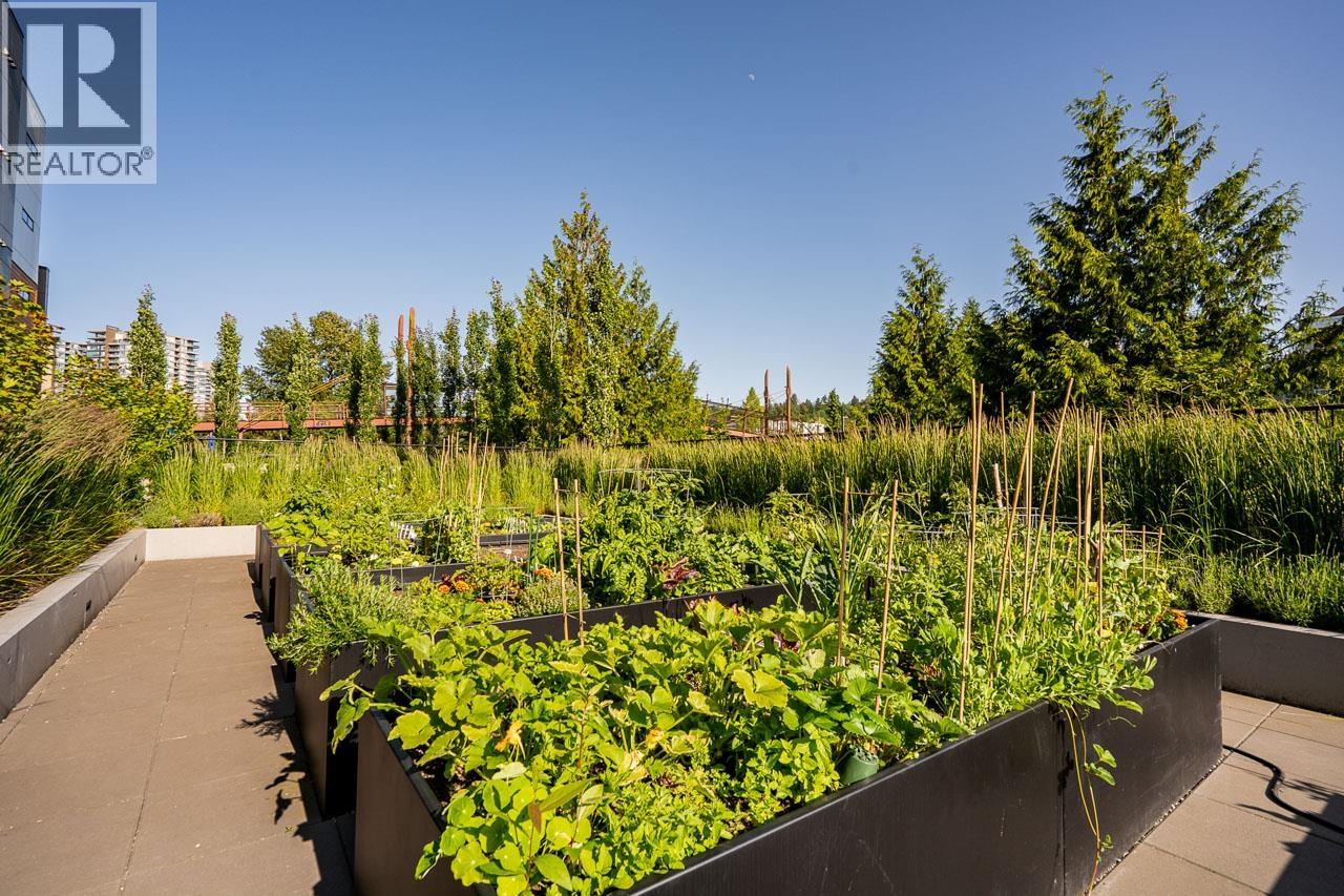 435 55 Klahanie Drive, Port Moody, British Columbia  V3H 0M9 - Photo 36 - R3071575