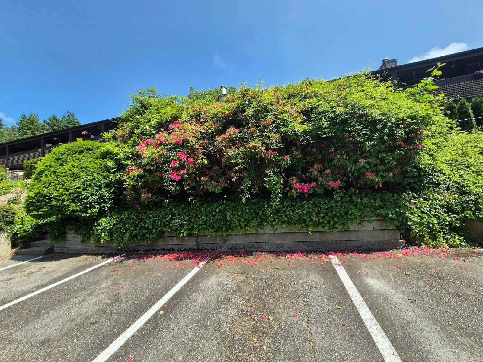 1621 34909 Old Yale Road, Abbotsford, British Columbia  V3G 2E7 - Photo 34 - R3060784