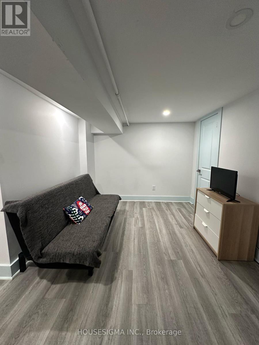 Lower - 48 Euclid Avenue, Toronto, Ontario  M6J 2J6 - Photo 13 - C12595754