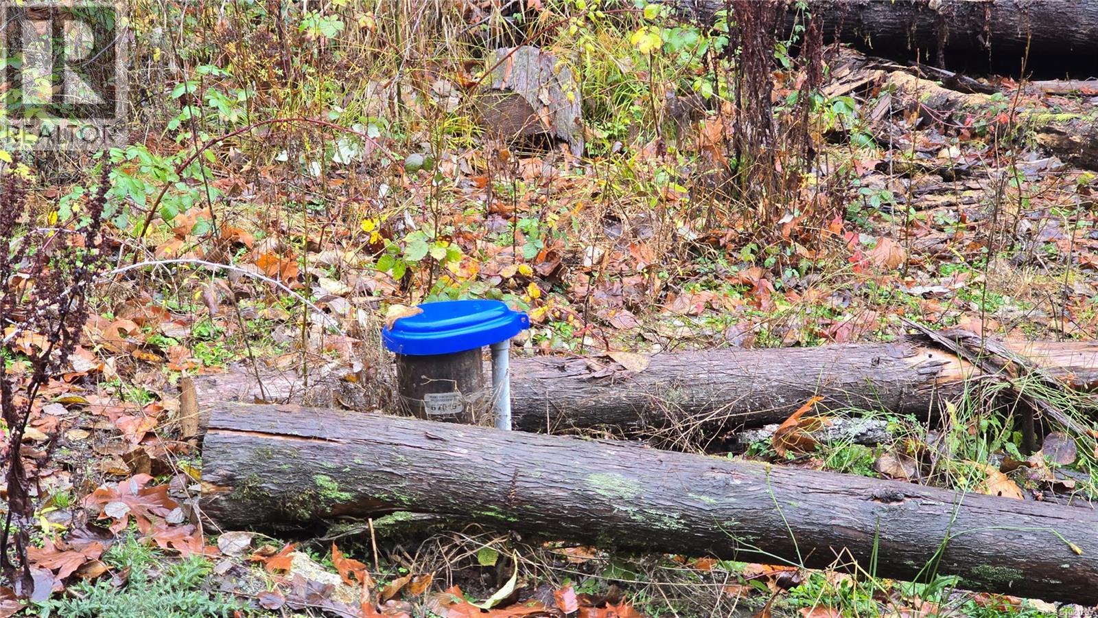 Lot 6 Cowichan Lake Rd, Lake Cowichan, British Columbia  V0R 2G0 - Photo 3 - 1021295