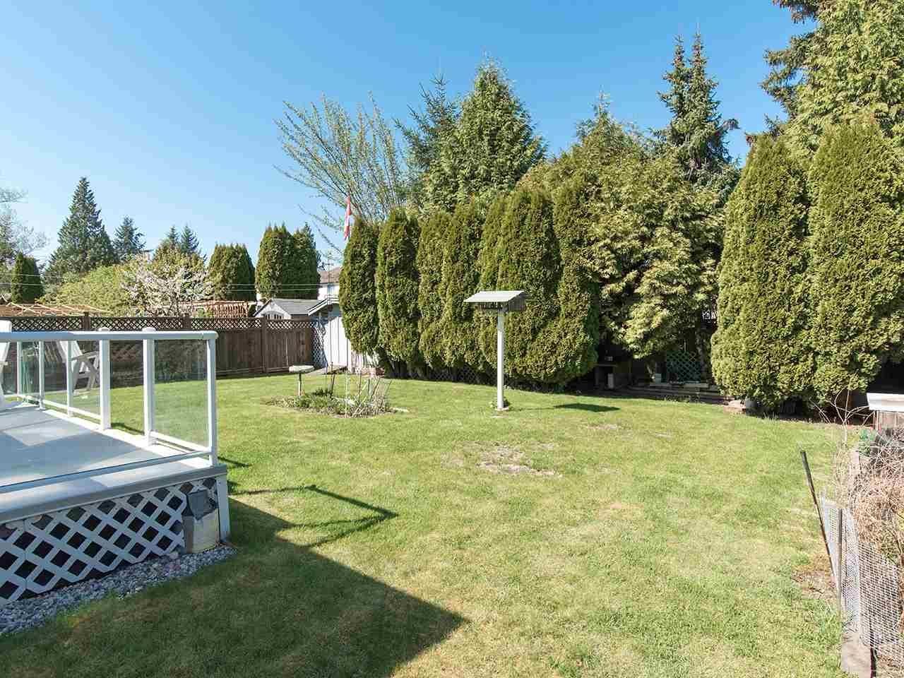 15773 97a Avenue, Surrey, British Columbia  V4N 2V1 - Photo 37 - R3069270