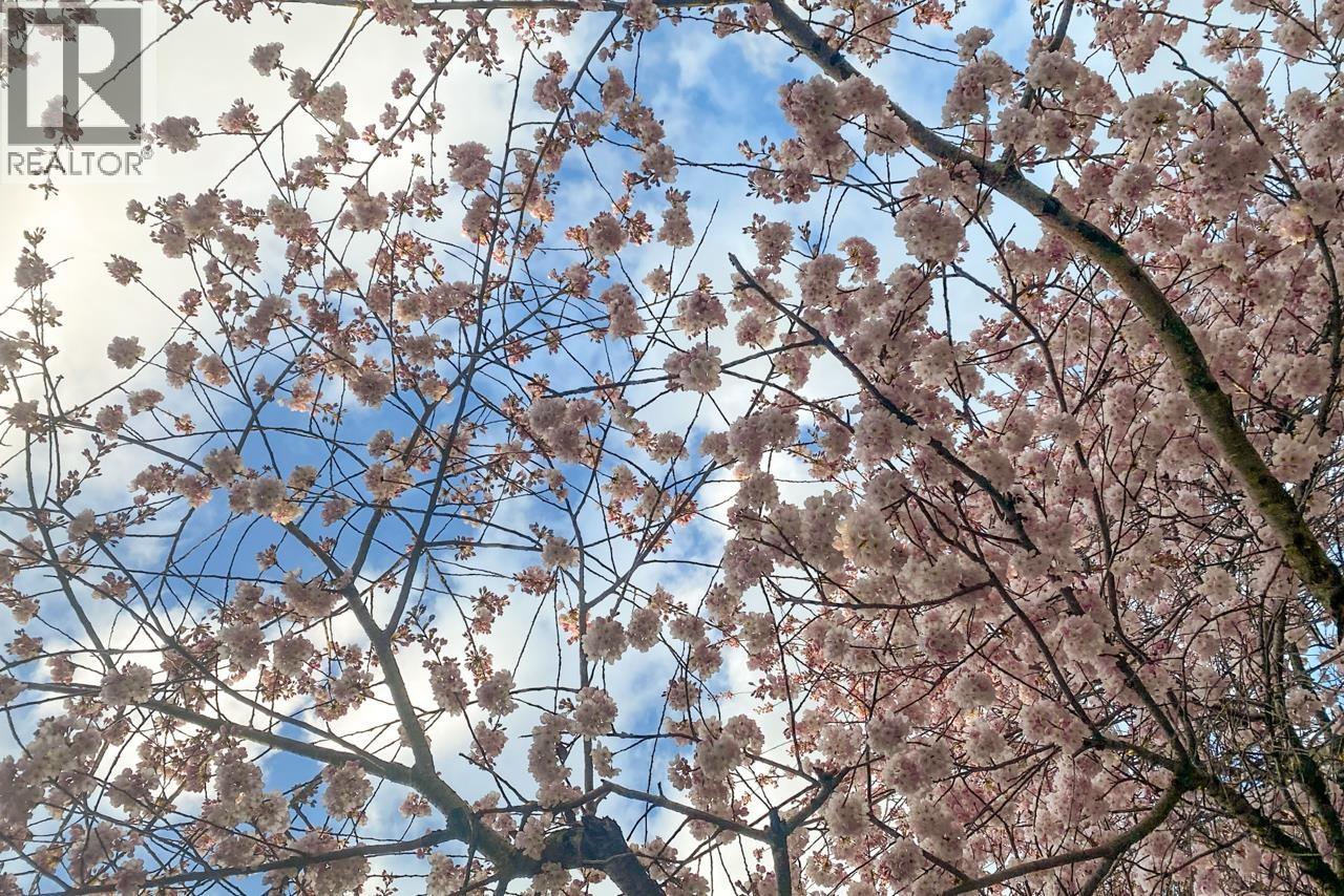 3274 W 1st Avenue, Vancouver, British Columbia  V6K 1H5 - Photo 33 - R3067612