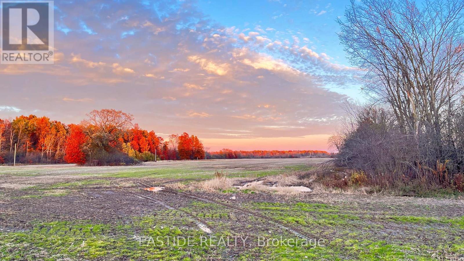 12880 Ort Road, Niagara Falls, Ontario  L0S 1K0 - Photo 3 - X12390766