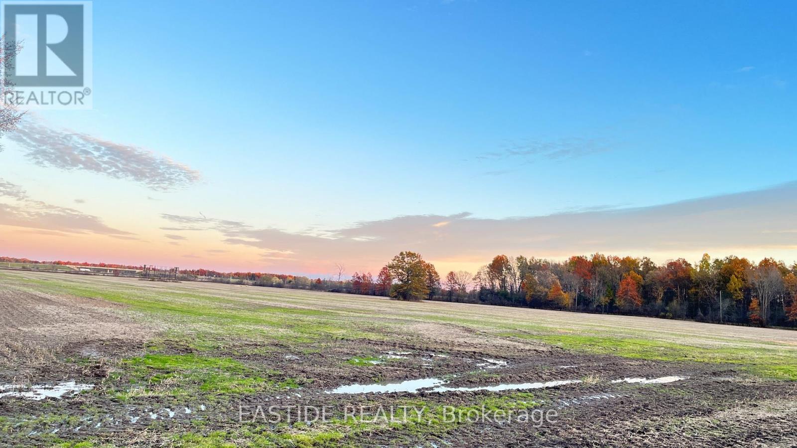 12880 Ort Road, Niagara Falls, Ontario  L0S 1K0 - Photo 5 - X12390766