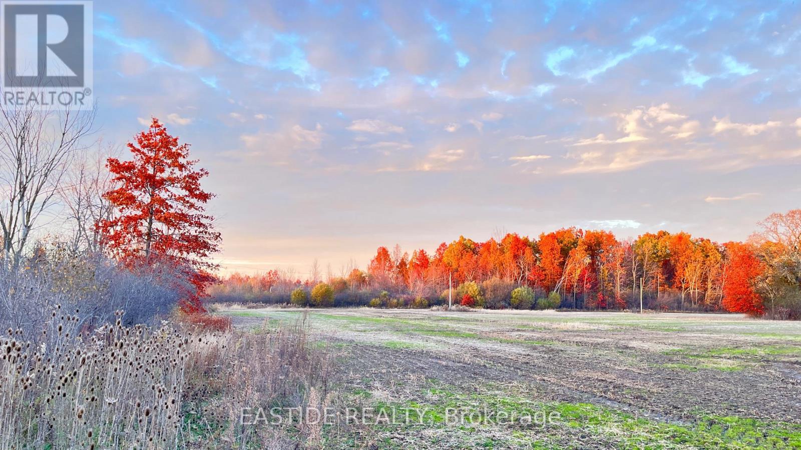 12880 ORT ROAD, Niagara Falls, Ontario