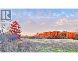 12880 ORT ROAD, Niagara Falls, Ontario