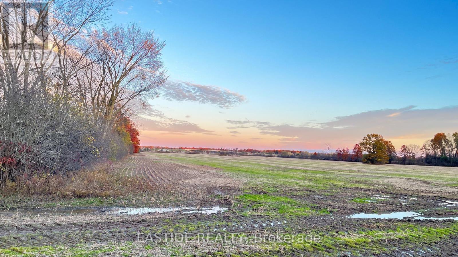 12880 Ort Road, Niagara Falls, Ontario  L0S 1K0 - Photo 4 - X12390766