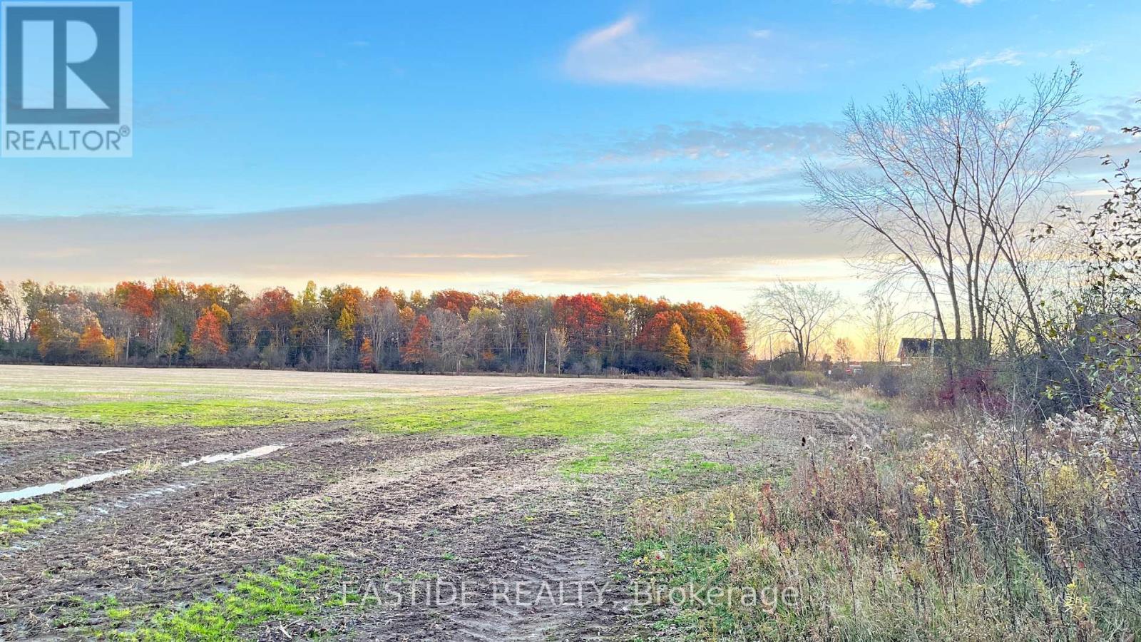 12880 Ort Road, Niagara Falls, Ontario  L0S 1K0 - Photo 6 - X12390766