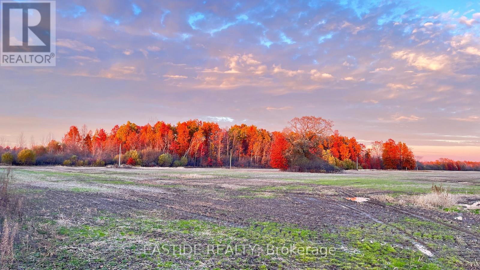 12880 Ort Road, Niagara Falls, Ontario  L0S 1K0 - Photo 2 - X12390766