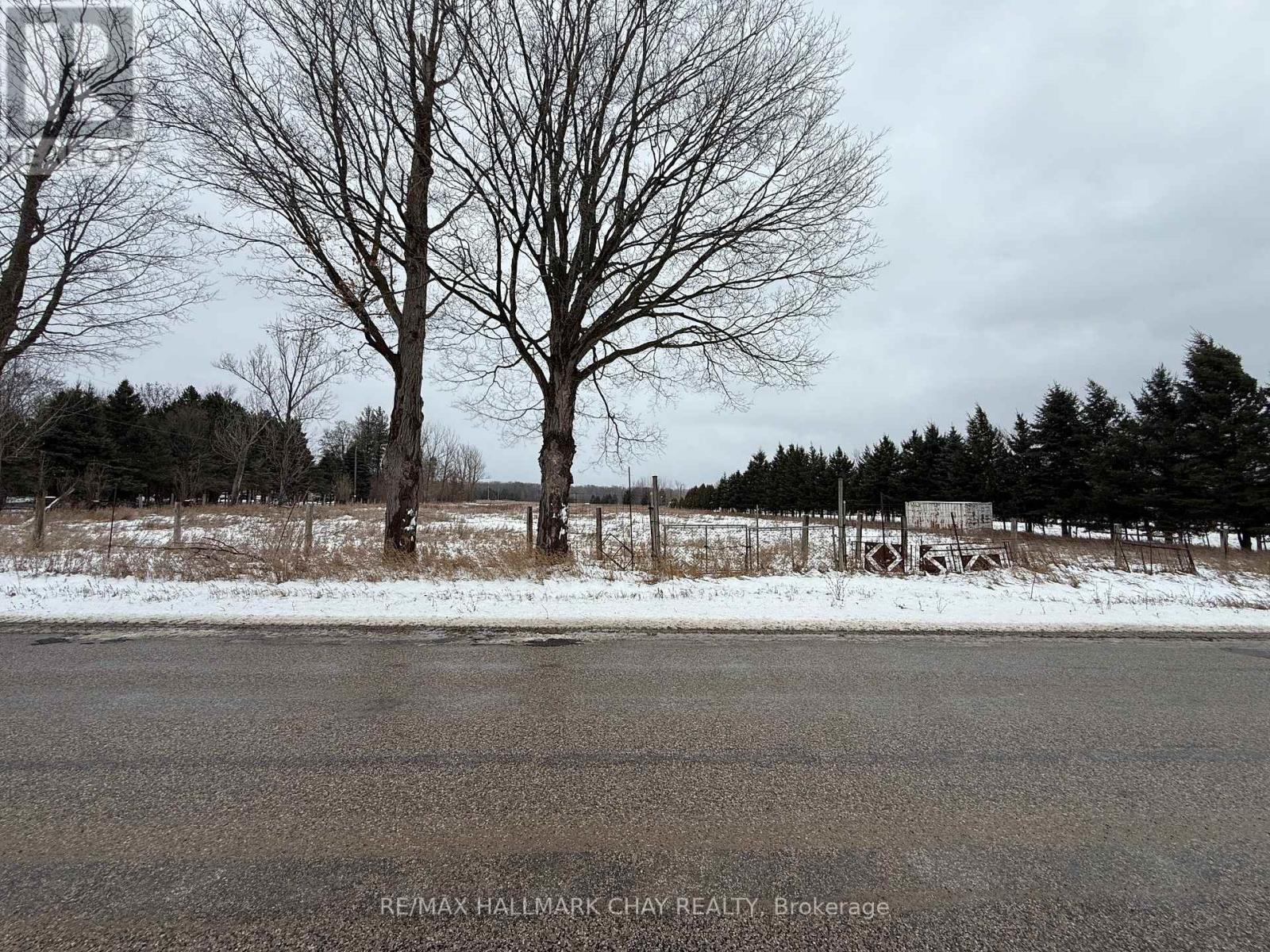 3005 Concession Rd 4, Adjala-Tosorontio, Ontario  L0G 1L0 - Photo 4 - N12593052