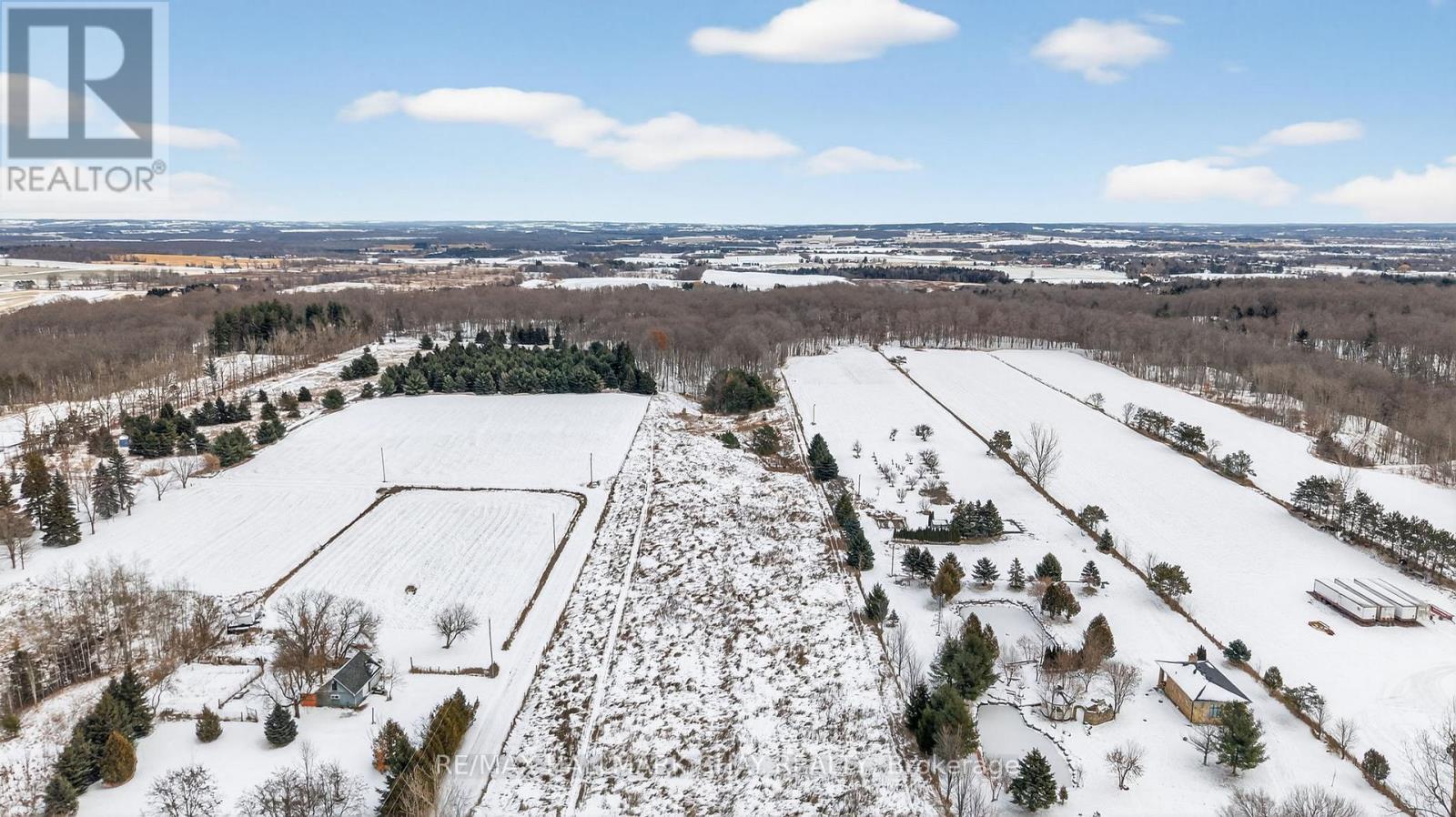 3005 Concession Rd 4, Adjala-Tosorontio, Ontario  L0G 1L0 - Photo 10 - N12593052