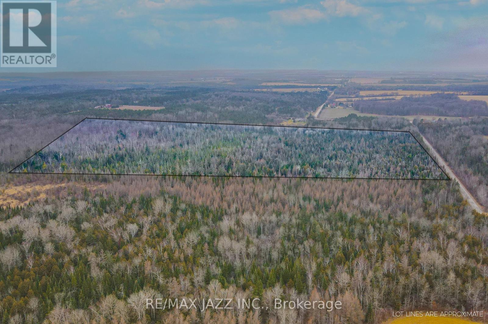 0 Ballyduff Road, Kawartha Lakes, Ontario  L0A 1K0 - Photo 12 - E12596096