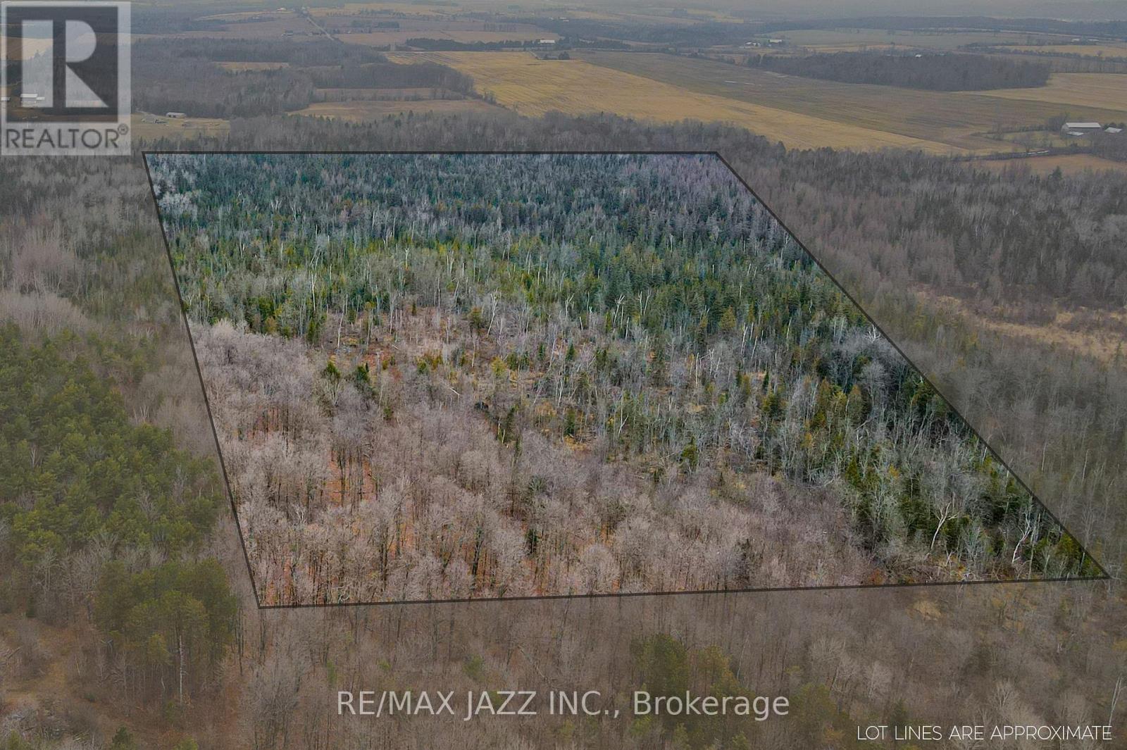 0 Ballyduff Road, Kawartha Lakes, Ontario  L0A 1K0 - Photo 16 - E12596096