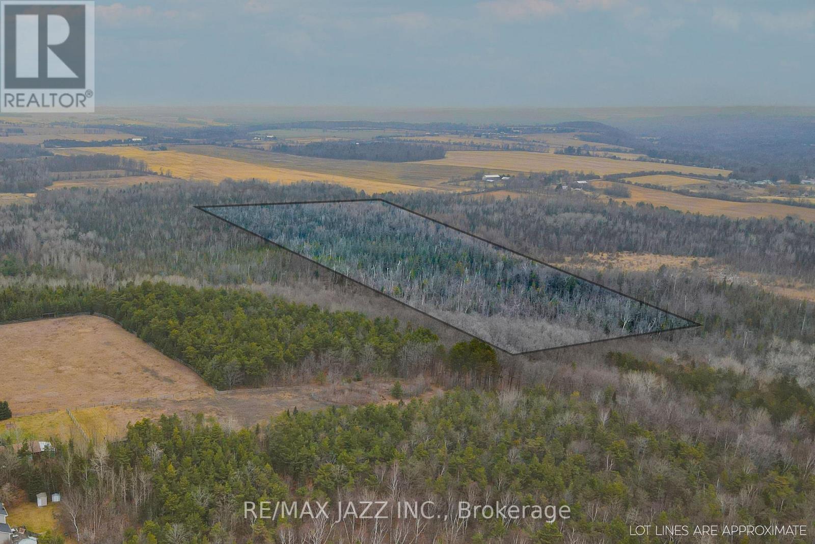 0 Ballyduff Road, Kawartha Lakes, Ontario  L0A 1K0 - Photo 18 - E12596096