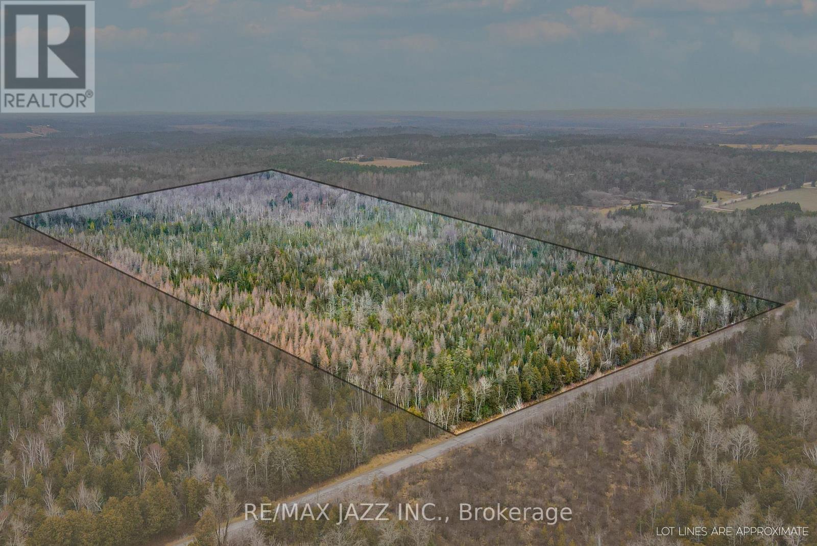 0 Ballyduff Road, Kawartha Lakes, Ontario  L0A 1K0 - Photo 3 - E12596096