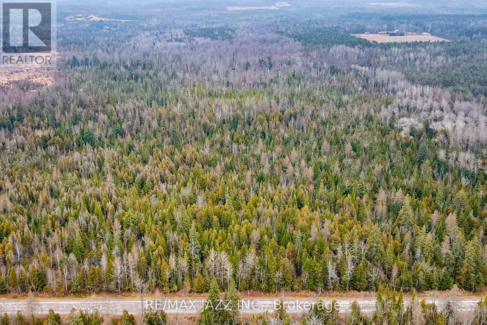 0 Ballyduff Road, Kawartha Lakes, Ontario  L0A 1K0 - Photo 4 - E12596096