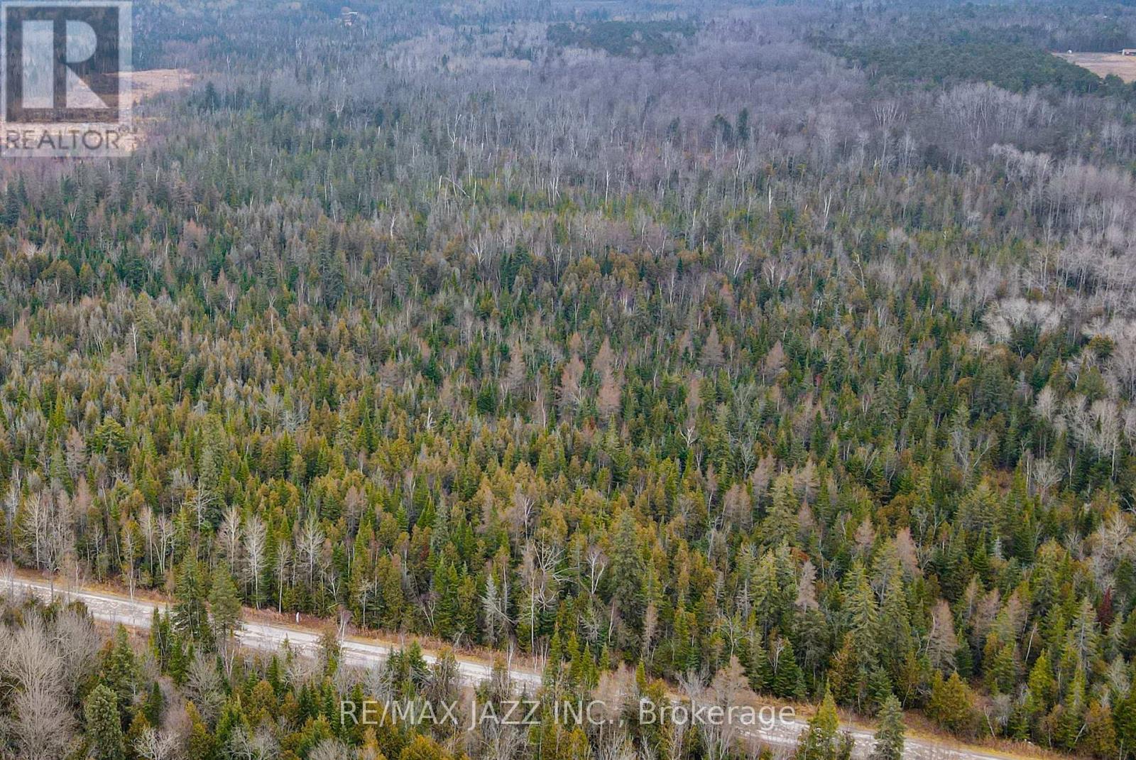 0 Ballyduff Road, Kawartha Lakes, Ontario  L0A 1K0 - Photo 6 - E12596096