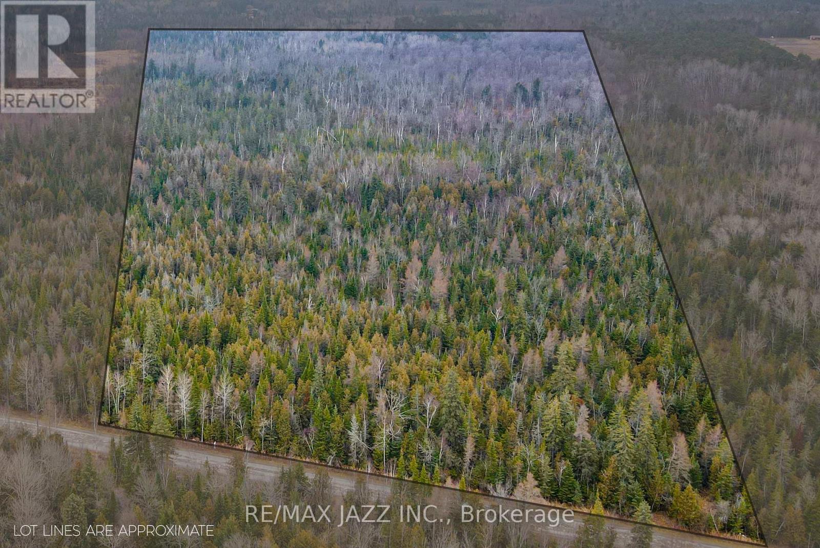 0 Ballyduff Road, Kawartha Lakes, Ontario  L0A 1K0 - Photo 7 - E12596096