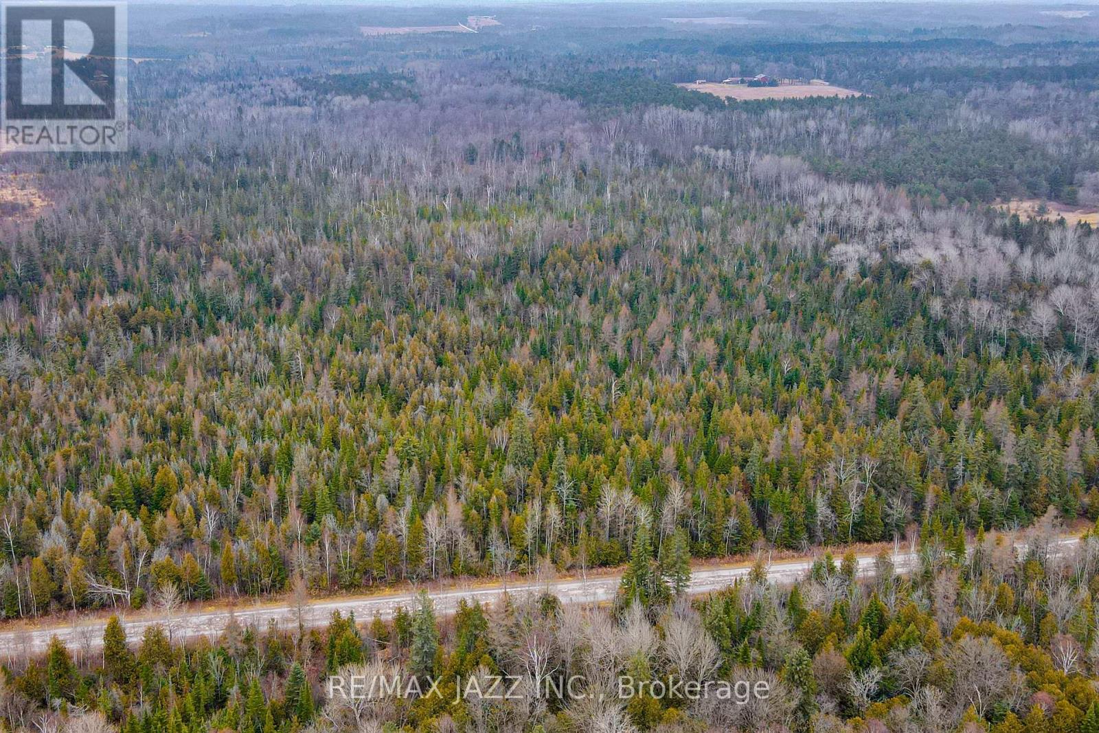 0 Ballyduff Road, Kawartha Lakes, Ontario  L0A 1K0 - Photo 8 - E12596096