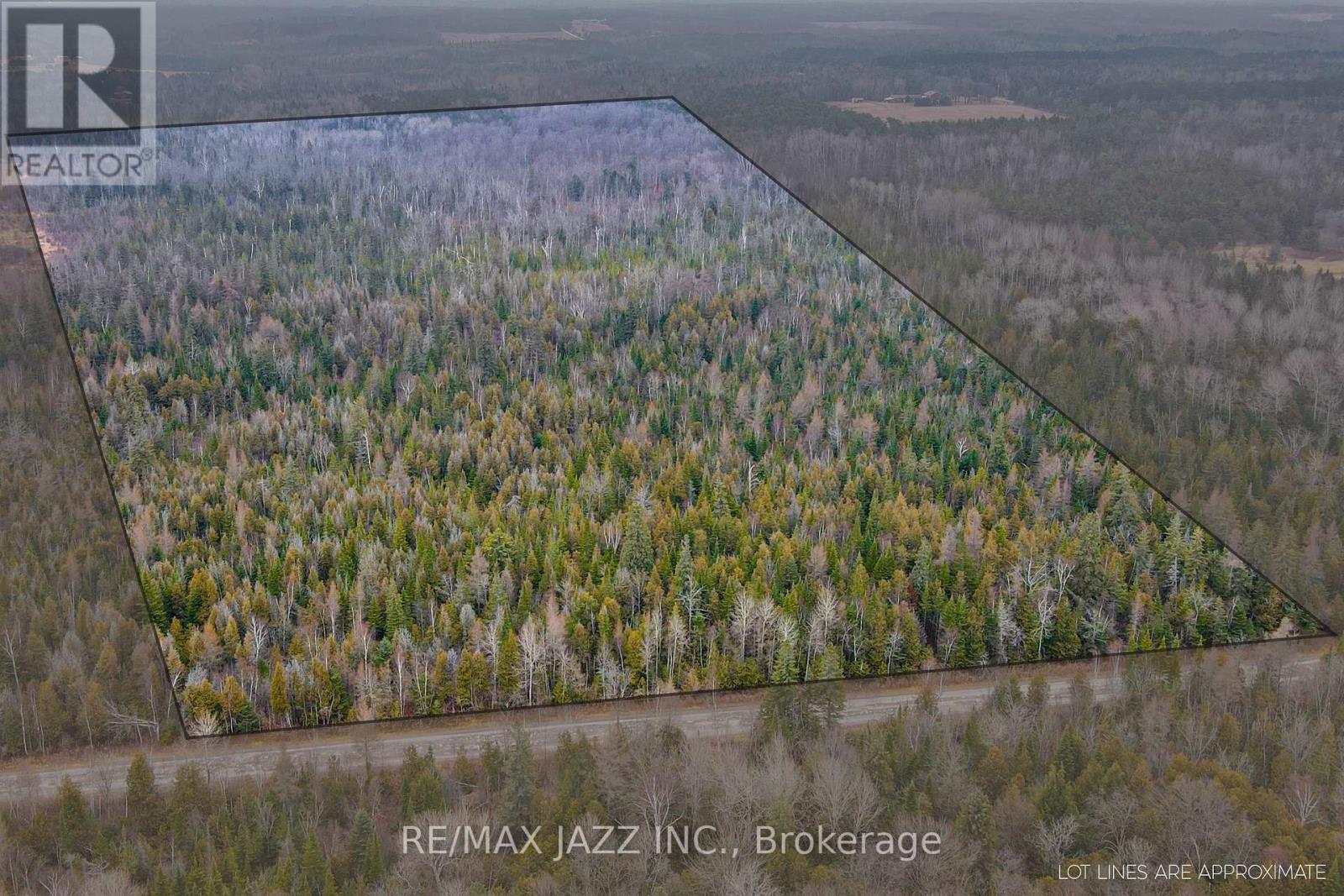 0 Ballyduff Road, Kawartha Lakes, Ontario  L0A 1K0 - Photo 9 - E12596096