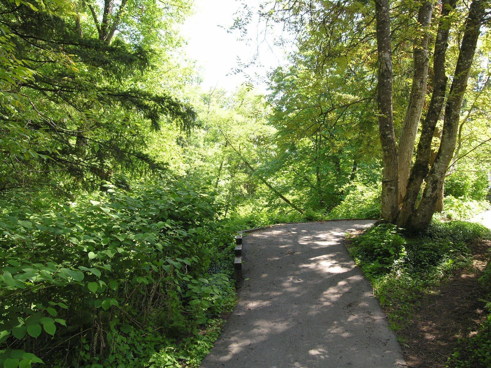 24 9036 208 Street, Langley, British Columbia  V1M 3K4 - Photo 22 - R3071735