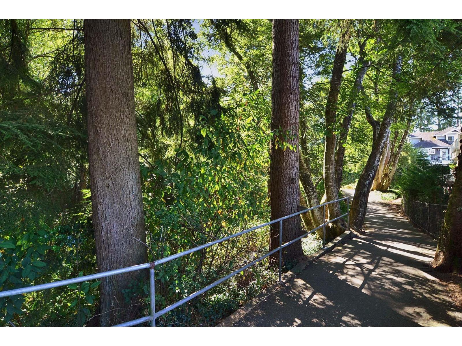 24 9036 208 Street, Langley, British Columbia  V1M 3K4 - Photo 23 - R3071735