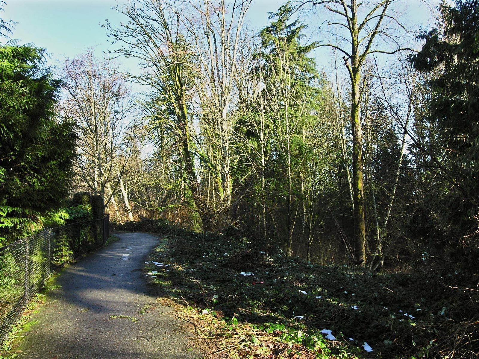 24 9036 208 Street, Langley, British Columbia  V1M 3K4 - Photo 24 - R3071735
