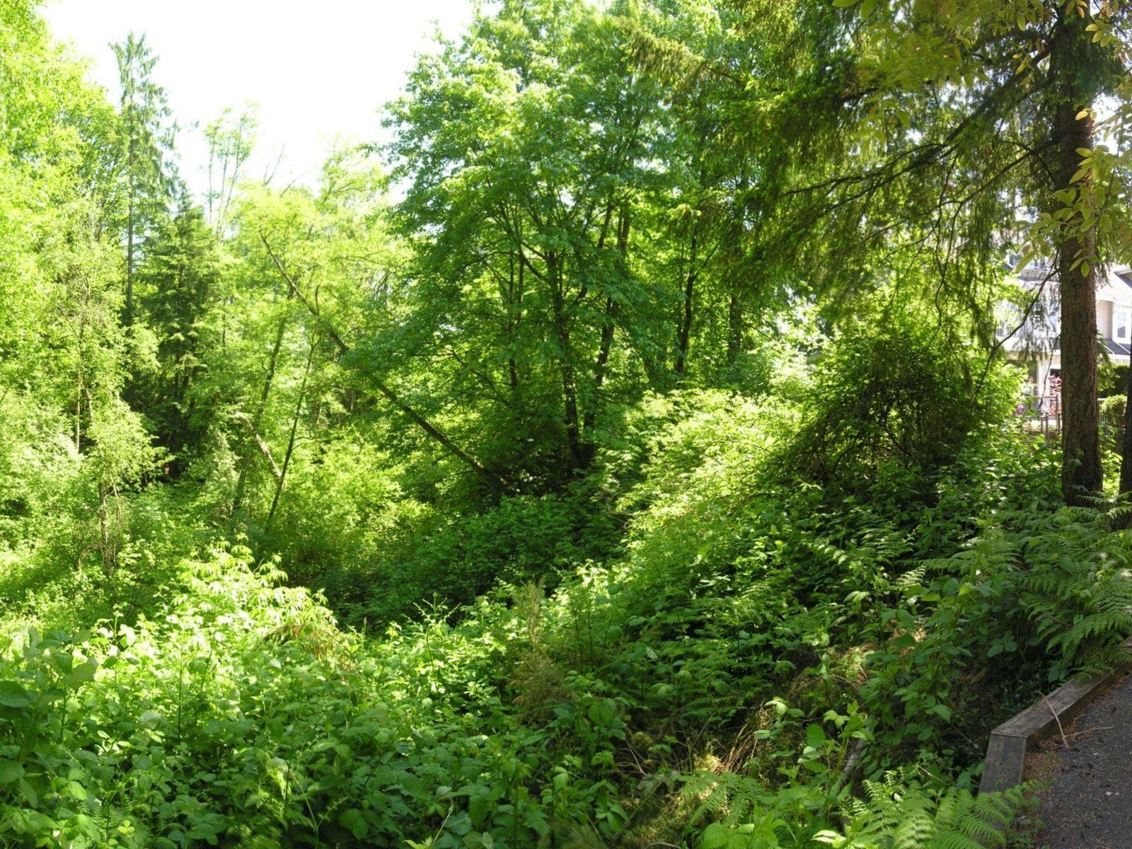 24 9036 208 Street, Langley, British Columbia  V1M 3K4 - Photo 25 - R3071735