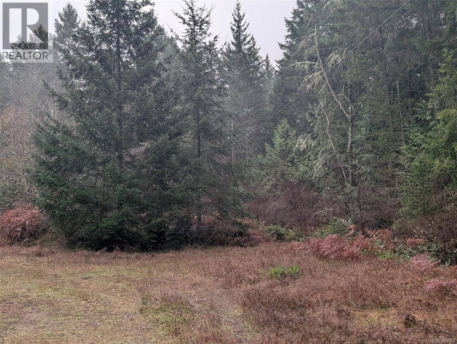 1040 Mclean Rd, Coombs, British Columbia  V9K 1W5 - Photo 6 - 1017609