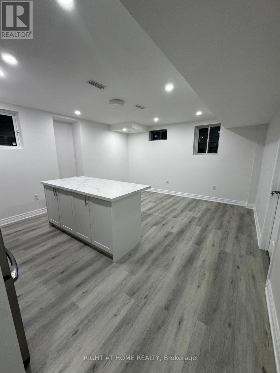 Bsmt - 32 Auckland Drive E, Whitby, Ontario  L1P 0G6 - Photo 10 - E12596290