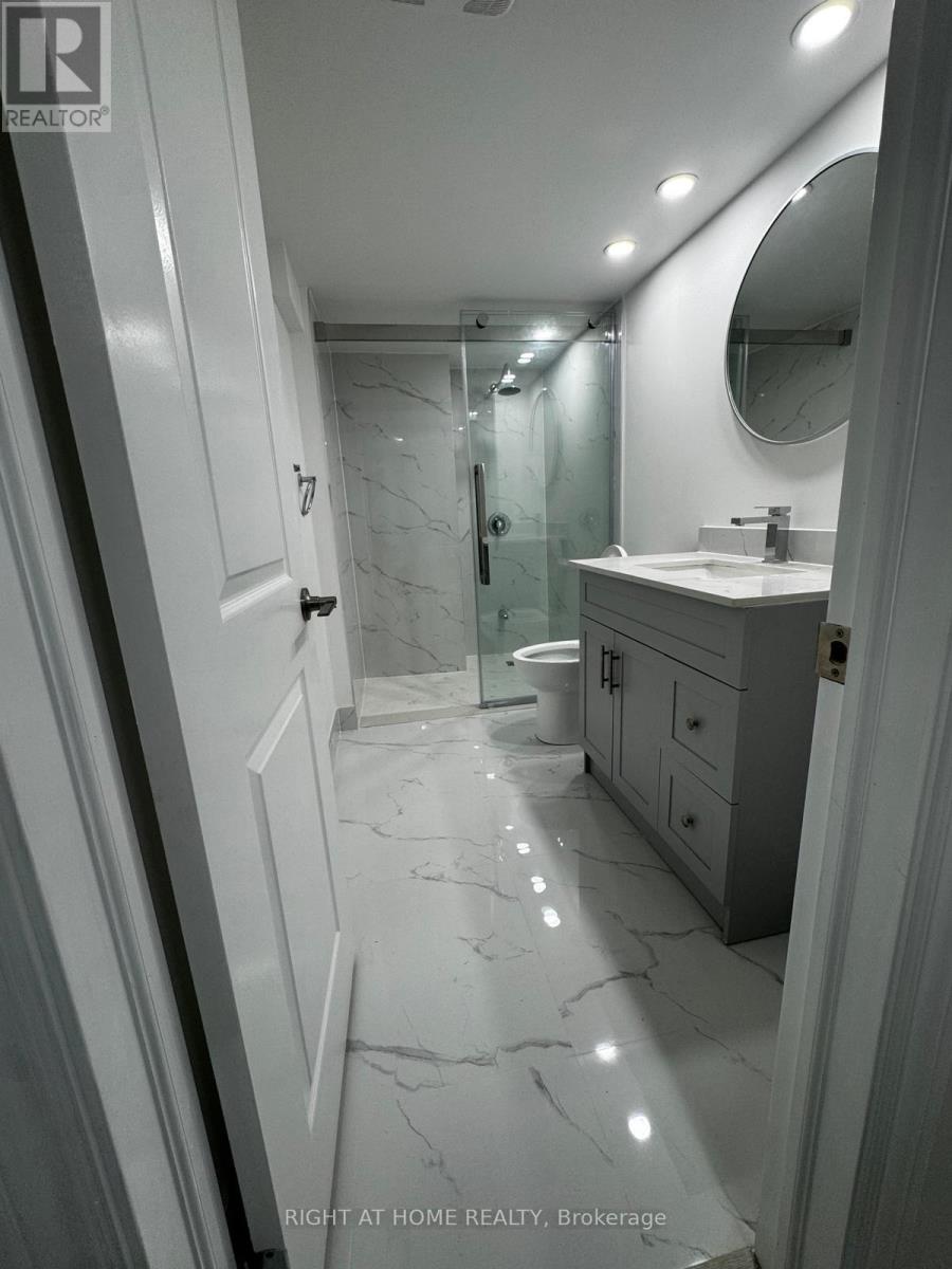 Bsmt - 32 Auckland Drive E, Whitby, Ontario  L1P 0G6 - Photo 13 - E12596290