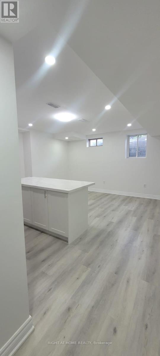 Bsmt - 32 Auckland Drive E, Whitby, Ontario  L1P 0G6 - Photo 5 - E12596290