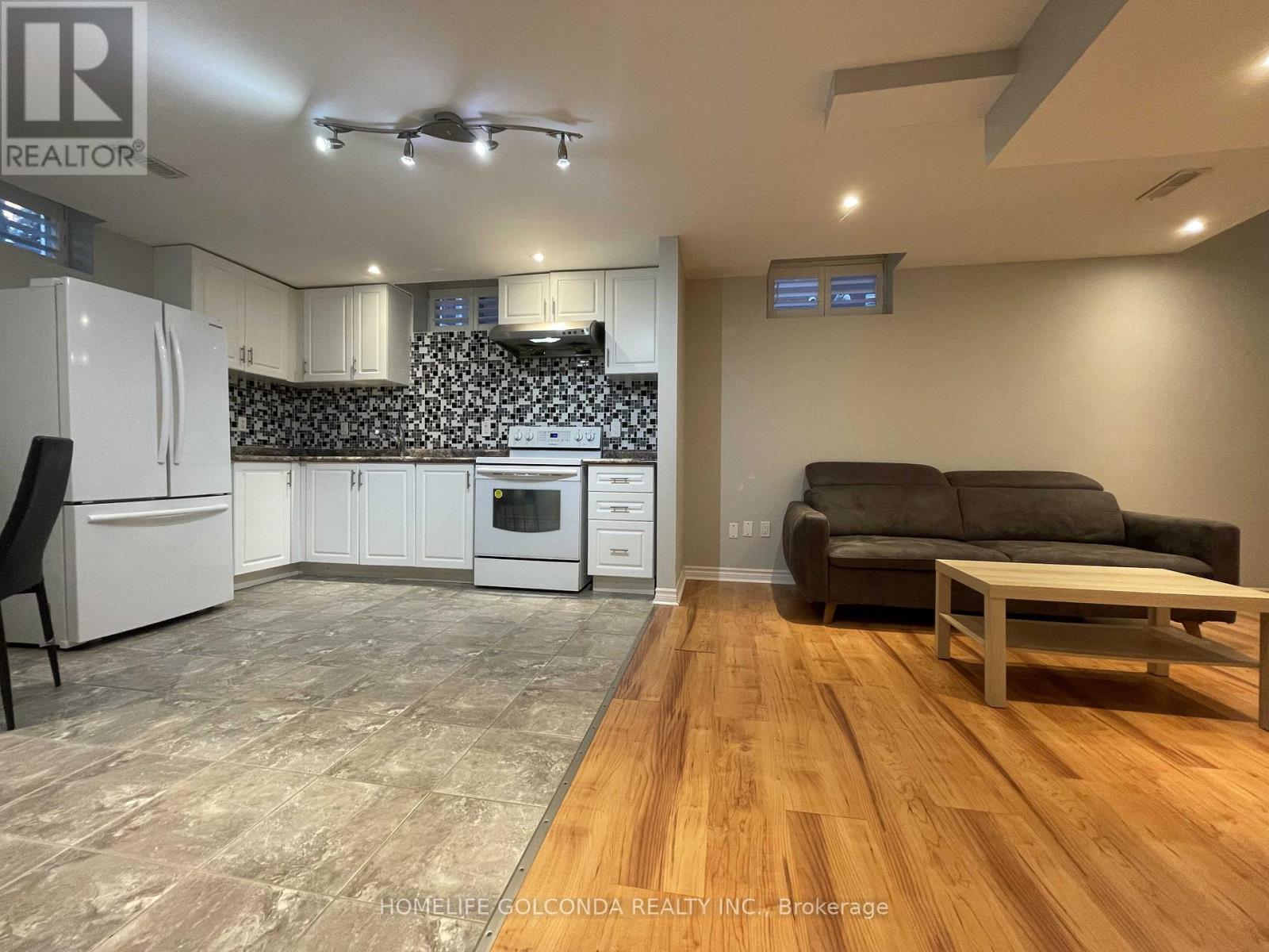 Lower Level - 233 Aspenwood Drive, Newmarket, Ontario  L3X 3L1 - Photo 4 - N12596264