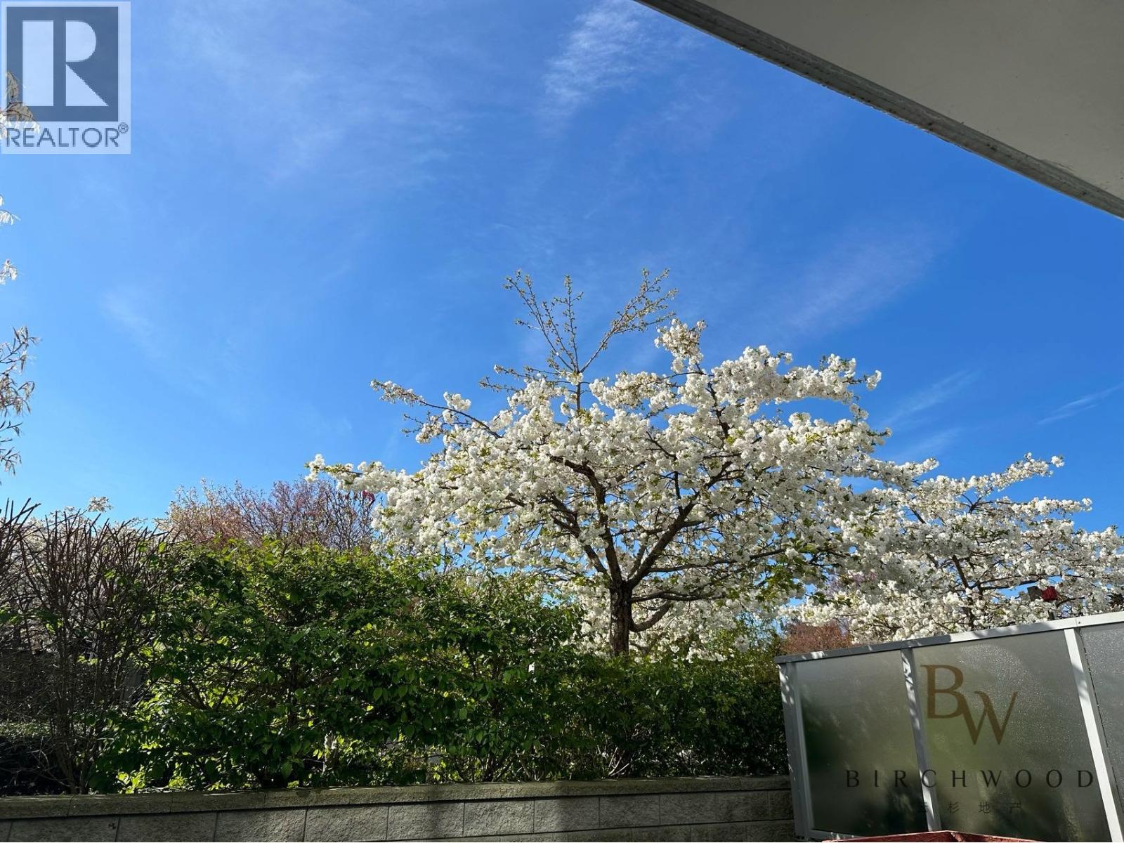 8288 Granville Avenue, Richmond, British Columbia  V6Y 0H6 - Photo 11 - R3071749