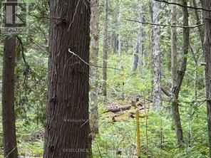 00 Kenyon Acres N, North Glengarry, Ontario  K0C 1A0 - Photo 3 - X12596362