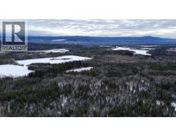 DL 5559 S MCBRIDE TIMBER ROAD