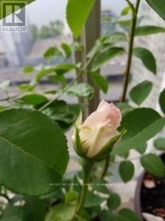 3611 - 10 Navy Wharf Court, Toronto, Ontario  M5V 3V2 - Photo 20 - C12596350