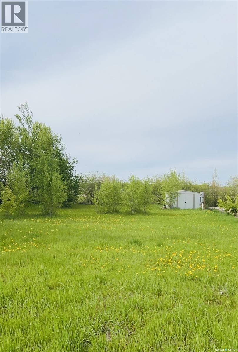 720 Park Drive, Good Lake Rm No. 274, Saskatchewan  S0A 0L0 - Photo 2 - SK025119