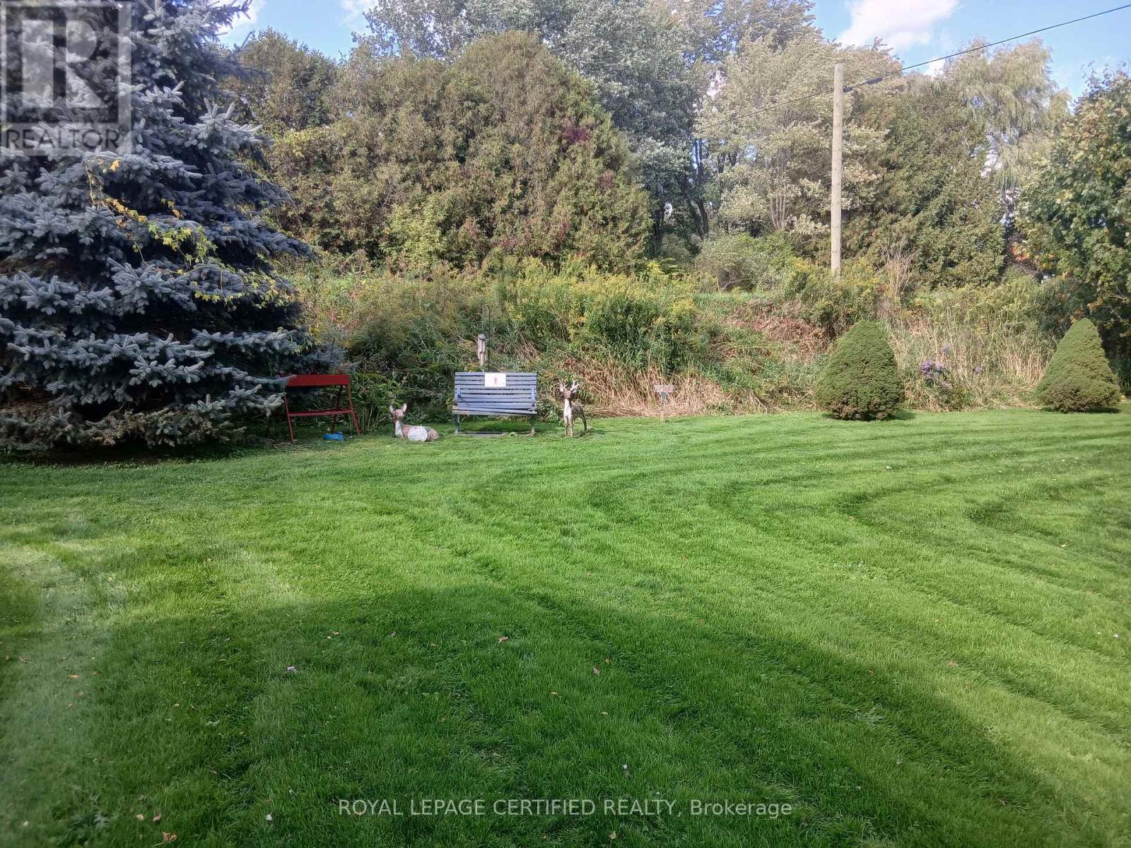 883 7th Avenue, Hanover, Ontario  N4N 2K3 - Photo 44 - X12596400