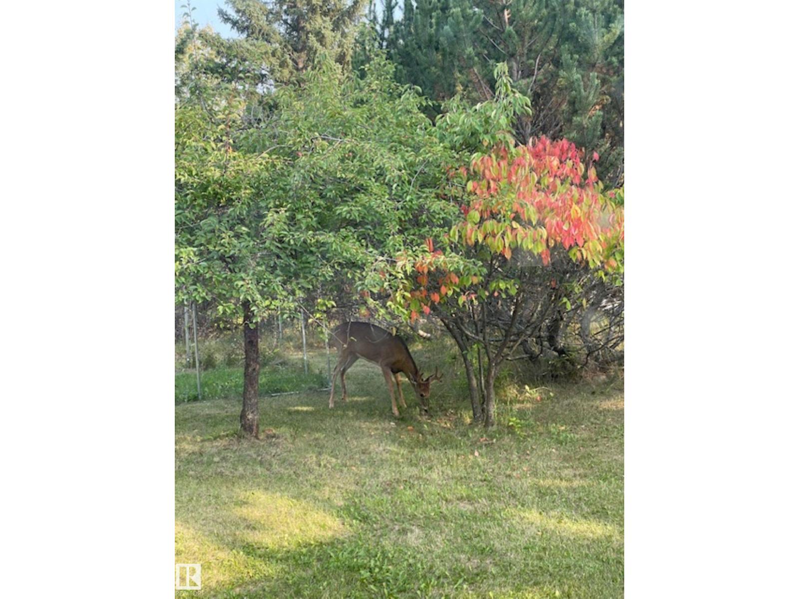 57303 Range Road 33, Rural Lac Ste. Anne County, Alberta  T0E 1A0 - Photo 34 - E4458611