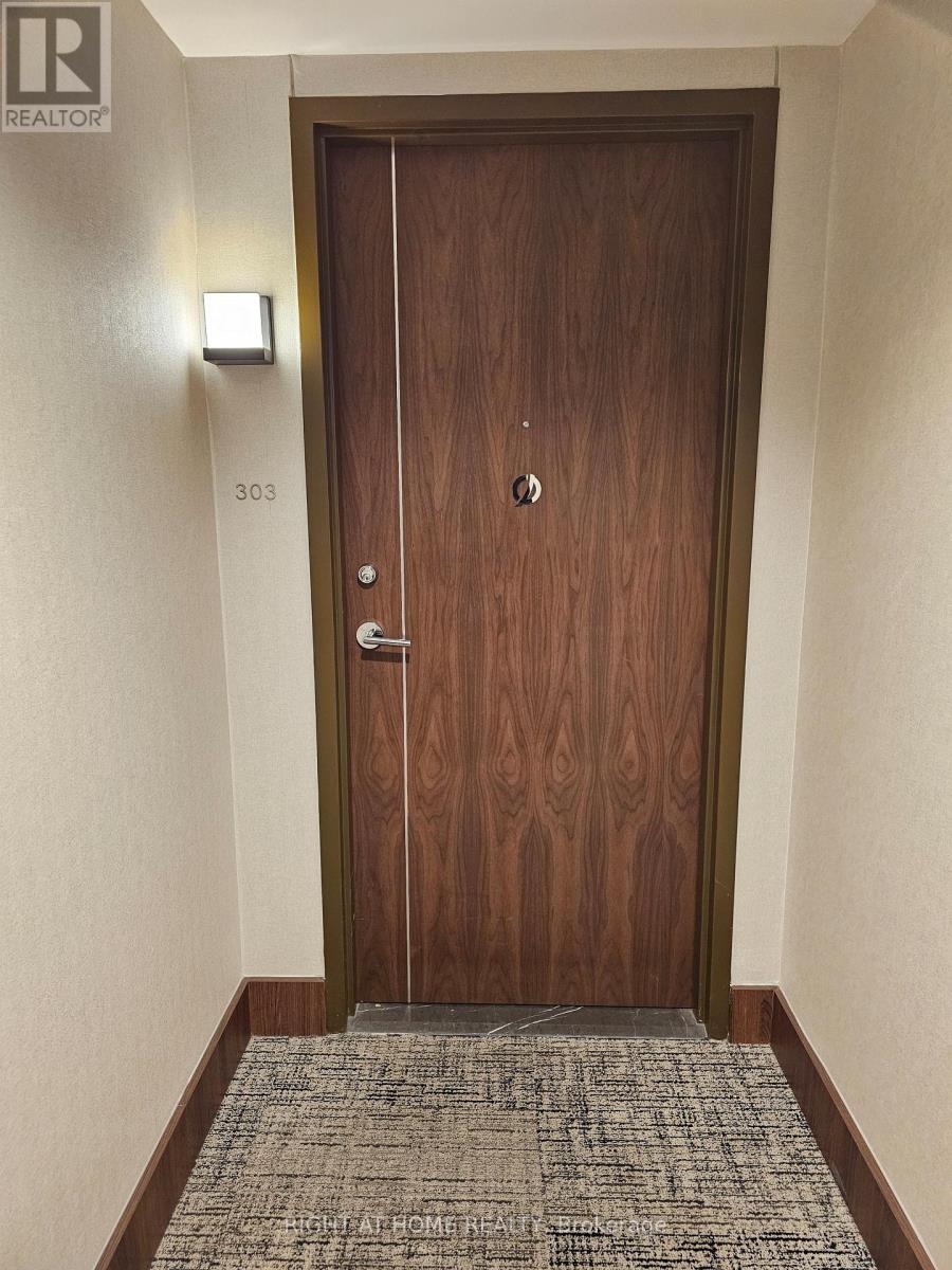 303 - 80 Queens Wharf Road, Toronto, Ontario  M5V 0J3 - Photo 8 - C12596666