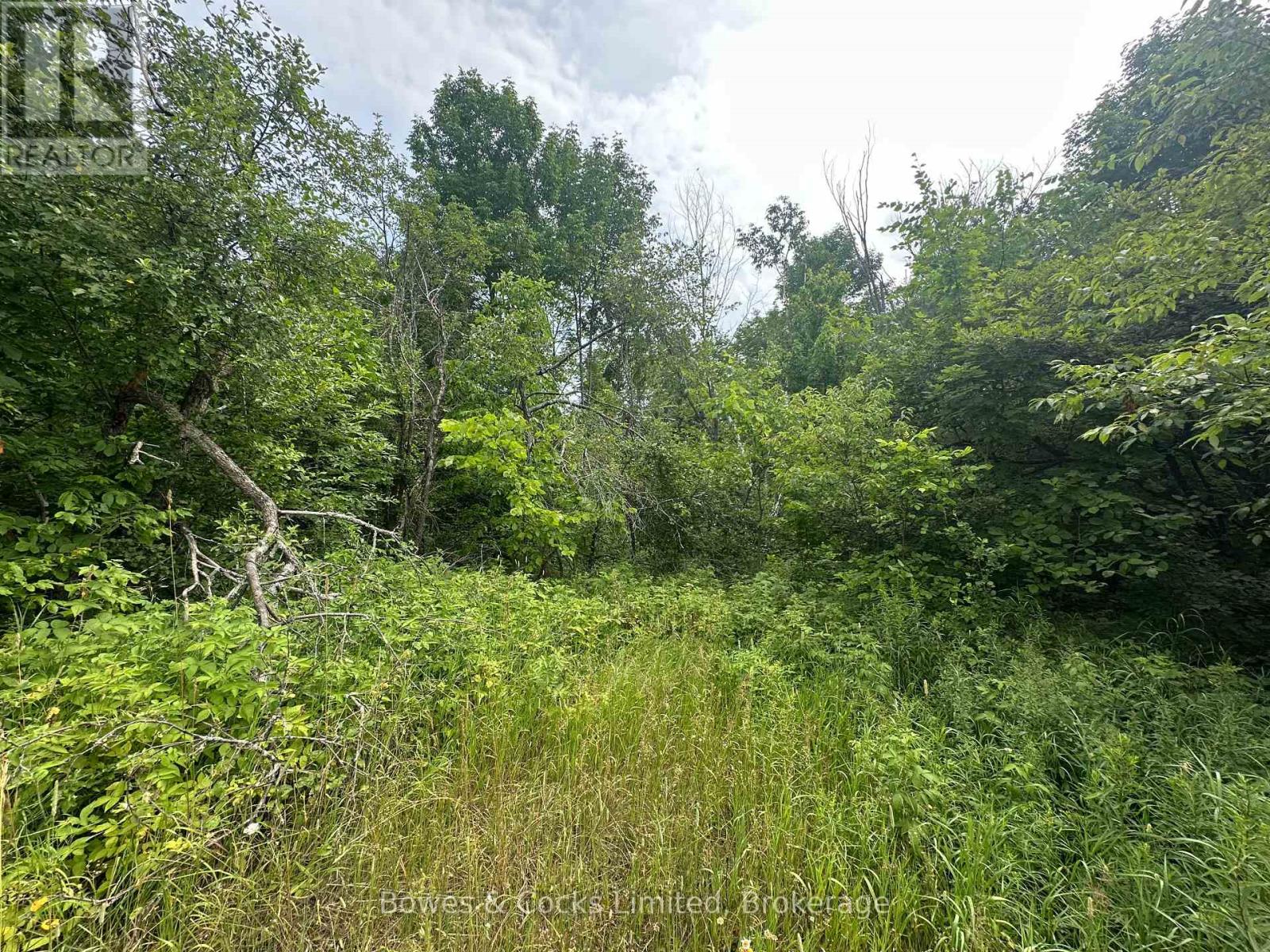 0 Centre Line Road, Marmora And Lake (Marmora Ward), Ontario  K0K 2M0 - Photo 1 - X12279367