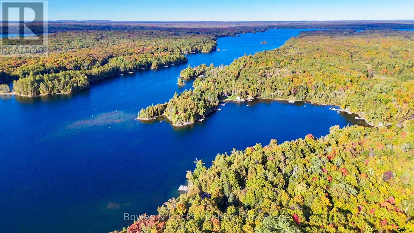 408 Couchs Road, North Kawartha, Ontario  K0L 1A0 - Photo 47 - X12442787