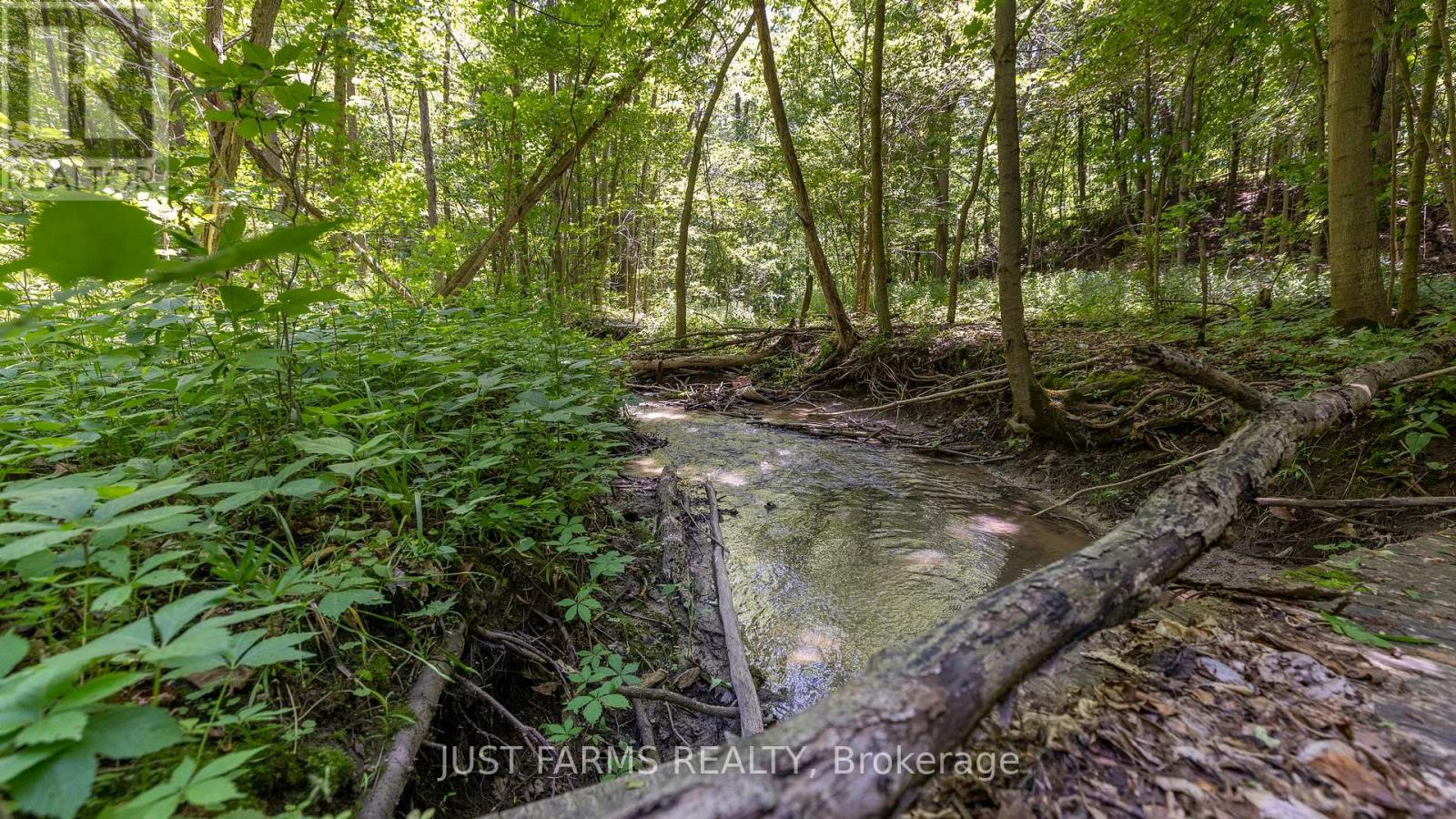 1052 Longwoods Road, Southwest Middlesex, Ontario  N0L 1Z0 - Photo 11 - X12241486