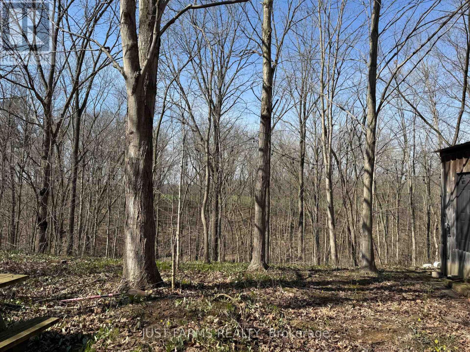 1052 Longwoods Road, Southwest Middlesex, Ontario  N0L 1Z0 - Photo 9 - X12241486