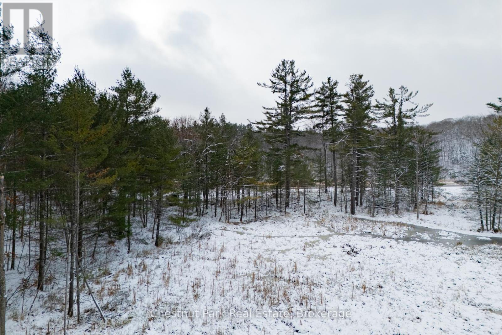 Pt Lt 33 Con 2 (Pt 2) Muskoka 118 Road W, Muskoka Lakes, Ontario  P0B 1J0 - Photo 7 - X12596822